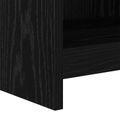 vidaXL TV skrinka 100 x 33 x 47 cm Čierny dub Kompozitné drevo