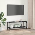 vidaXL TV skrinka Čierny dub 100x33x41cm Inžinierske drevo a železo