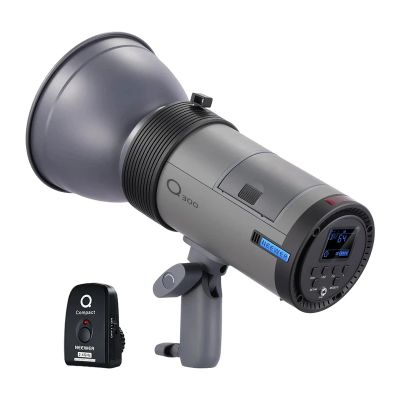 Blesk Neewer Q300