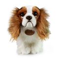Plyšový pes King Charles španiel 25 cm ECO-FRIENDLY