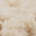 vidaXL Sada prikrývok 2 ks 140 x 220 cm Kapok a polyester Béžová