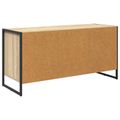 vidaXL TV skrinka 100 x 36 x 49.5 cm Sonoma Kompozitné drevo