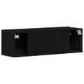 vidaXL TV skrinka 100 x 30 x 30 cm Čierny dub Kompozitné drevo