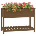 vidaXL Kvetináč s policou medovohnedý 111,5x54x81 cm masívna borovica