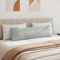 vidaXL Vankúše na pohovku 2 pcs Svetlosivá 145 x 40 cm