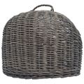 vidaXL Prepravka pre mačku sivá 50x42x40 cm prírodná vŕba