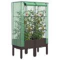 vidaXL Záhon s krytom na skleník ratanový vzhľad 80x40x140 cm