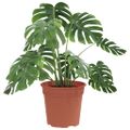 vidaXL Kulatý kvetináč 24 ks Tehlovo červená Ø 17 x 14 cm Plast