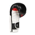 Boxerské rukavice DBX BUSHIDO B-3W 14 oz