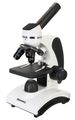 (SK) Mikroskop Levenhuk Discovery Pico