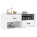 vidaXL TV skrinka biela 100x35x40 cm spracované drevo