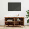 vidaXL TV skrinka 100 x 40 x 50 cm Staré drevo Kompozitné drevo