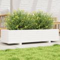 vidaXL Záhradný kvetináč biely 110x40x26,5 cm borovicový masív