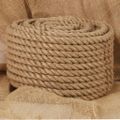 vidaXL Lano zo 100% juty, 20 mm, 50 m