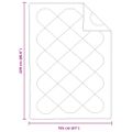 vidaXL Paplón 220 x 155 x 4 cm Žiadne Polyester Biela Priedušná