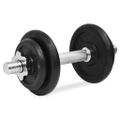 vidaXL 14-dielna sada činiek dumbbell 20 kg, liatina