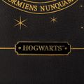 Taška Harry Potter - Zlatý erb Rokfortu