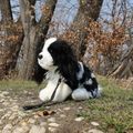 Plyšový pes King Charles španiel s vodítkom 27 cm ECO-FRIENDLY