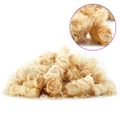 vidaXL Podpaľovače BIO podpaľovač 10 kg