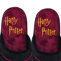 Papuce Harry Potter - Chrabromil