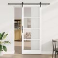 vidaXL Posuvné dvere 93 x 232 cm Masívne borovicové drevo a sklo