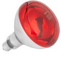 Žiarovka infračervená Rebel ZAR0584 250W, 220-240V E27 Žiarovka infračervená Rebel ZAR0584 250W, 220-240V E27