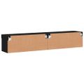 vidaXL TV skrinky s LED svetlami 2 ks čierne 80x30x30 cm