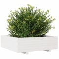 vidaXL Záhradný kvetináč biely 80x80x26,5 cm masívna borovica
