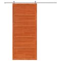vidaXL Zavesené posuvné dvere 100 x 2,5 x 208 cm Borovicový masív