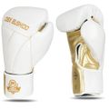 Boxerské rukavice DBX BUSHIDO B-2v19 12 oz