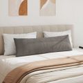 vidaXL Vankúše na pohovku 2 pcs Svetlosivá 145 x 40 cm