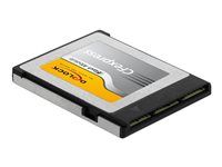 Pamäťová karta flash - 256 GB - CFexpress