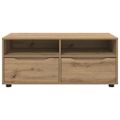 vidaXL TV skrinka 100 x 48 x 43 cm Remeselný dub Kompozitné drevo