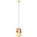 vidaXL Industriálna závesná lampa 25 W mosadzná 19 cm okrúhla E27