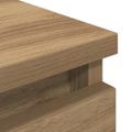 vidaXL TV skrinka Artisan Dub 100x35x54 cm Drevo