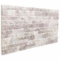 vidaXL Nástenné panely 10 ks 100 x 50 cm Svetlo šedá a biela EPS pena