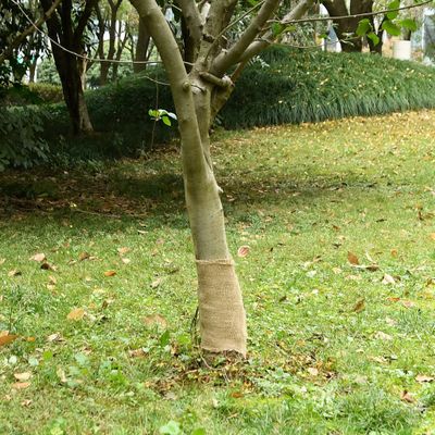 vidaXL Valec z juty 0,25x50 m 100 % juta 200 gsm