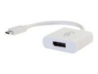 USB Type C to DisplayPort White - Externý video adaptér - USB 3.1 - DisplayPort - biela