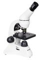 (SK) Digitálny mikroskop Levenhuk Rainbow D50L PLUS 2M, Moonstone