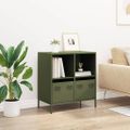 vidaXL Komoda olivovozelená 68x39x73,5 cm oceľ valcovaná za studena