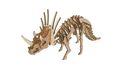 Woodcraft Drevené 3D hádanky Triceratops