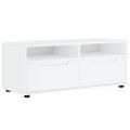 vidaXL TV skrinka „VISNES“ biela 100x40x38 cm, drevo