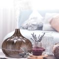 Aroma difuzér Palm sivé drevo 500 ml SIXTOL