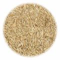 vidaXL Trávové semeno pre suché a horúce oblasti 15 kg