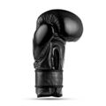 Boxerské rukavice DBX BUSHIDO Warrior BLACK 14 oz