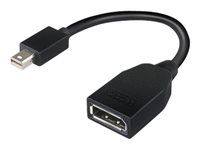 Adaptér DisplayPort - Mini DisplayPort (M) do DisplayPort (F) - 17.6 cm - pre ThinkCentre M70; M75t Gen 2; M80; M90; ThinkStation P330 Gen 2; P34X; P350; P520; P620