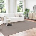 vidaXL Koberec do interiéru LUGO Krémová a taupe 340 x 240 cm