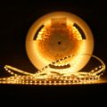 Modee LED silikónový pás 20m DC12V 4,8W teplá biela (MLLSS12V24W60L)