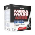 Mega Mass 4000 - Weider, jahoda, 7000 g