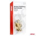 Svorky na autobatériu mosadzné 800AMP, 2 ks / blistr AMiO-04390